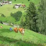 Schaidreithof *