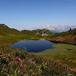 Schaidreithof *