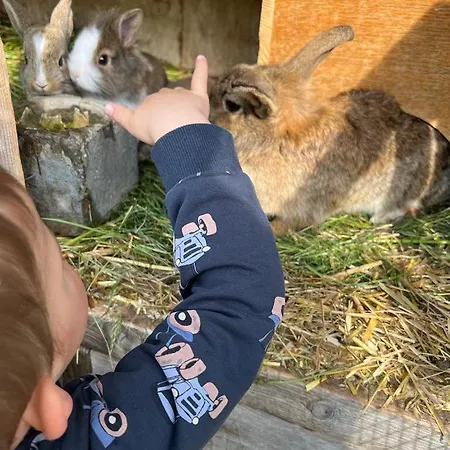 Schaidreithof Apartament Grossarl