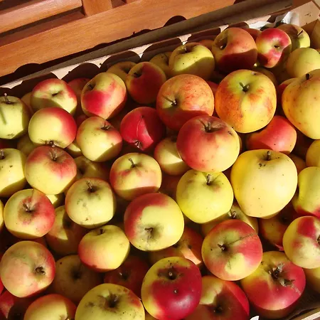 Appartement Schaidreithof Grossarl