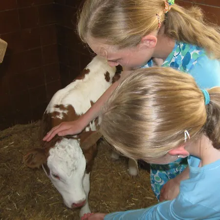 Schaidreithof Grossarl