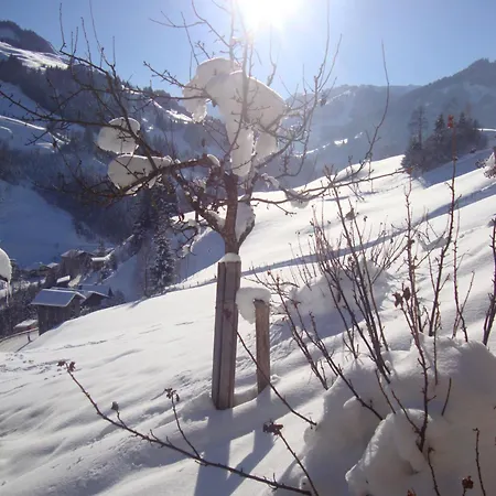 Schaidreithof Appartement