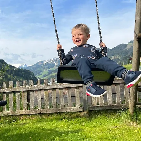 Apartament Schaidreithof *