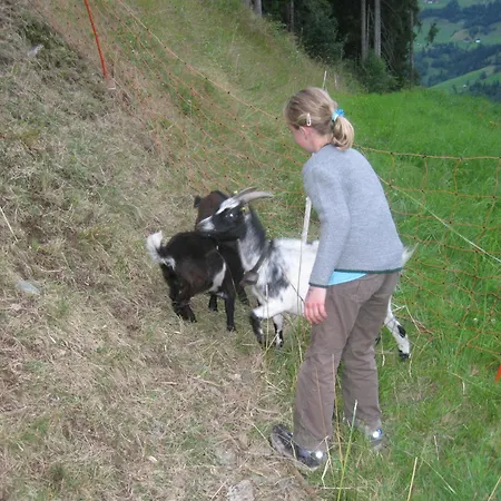 Appartement Schaidreithof Grossarl