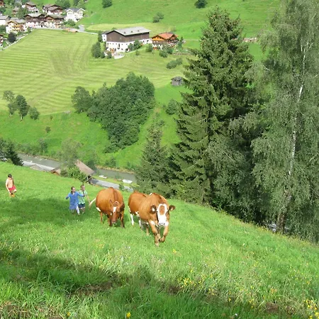 Schaidreithof *