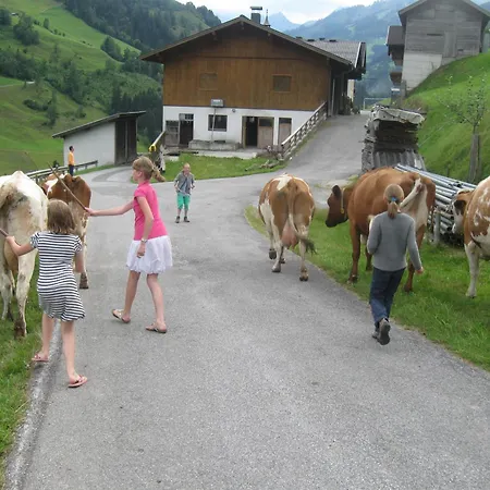 Appartement Schaidreithof *