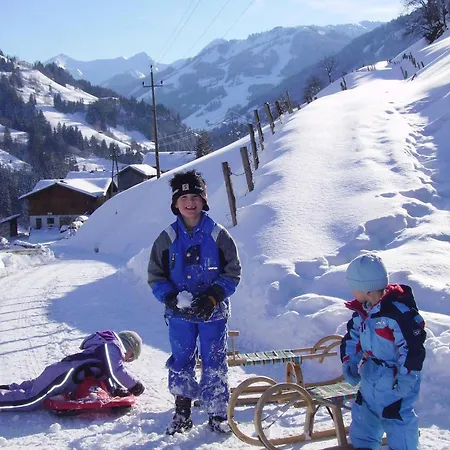 Appartement Schaidreithof Grossarl