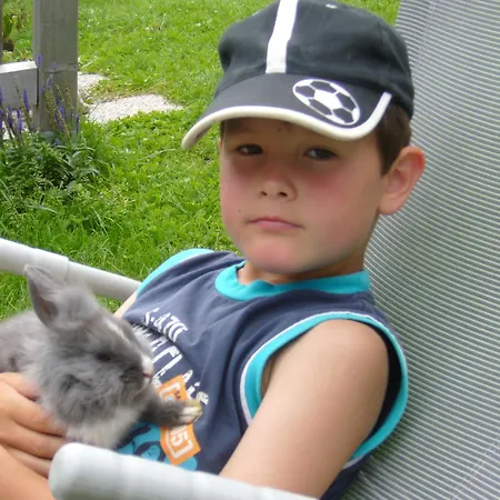 Appartement Schaidreithof