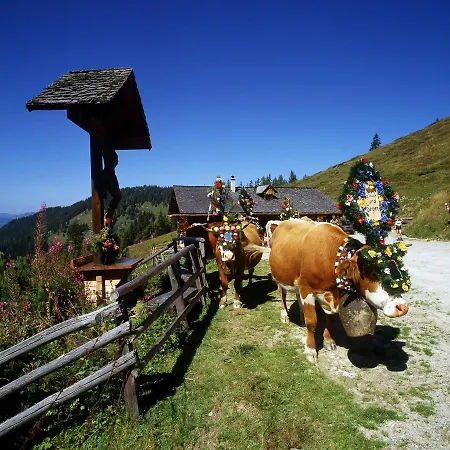 Schaidreithof * Grossarl