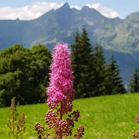 Schaidreithof * Grossarl