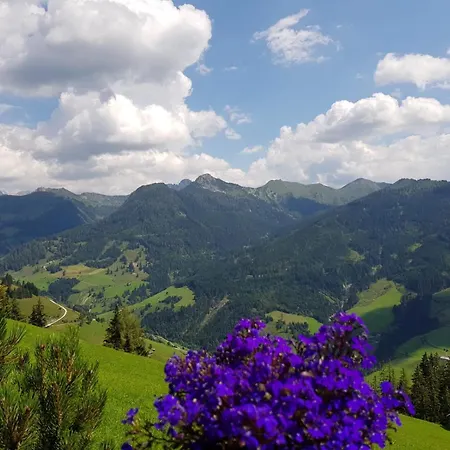 Schaidreithof Apartament Grossarl