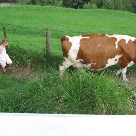 Schaidreithof Apartament *