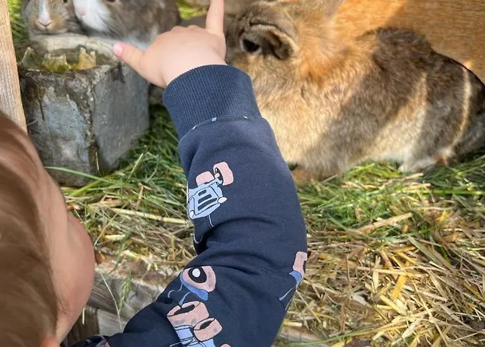 Schaidreithof Apartman Grossarl