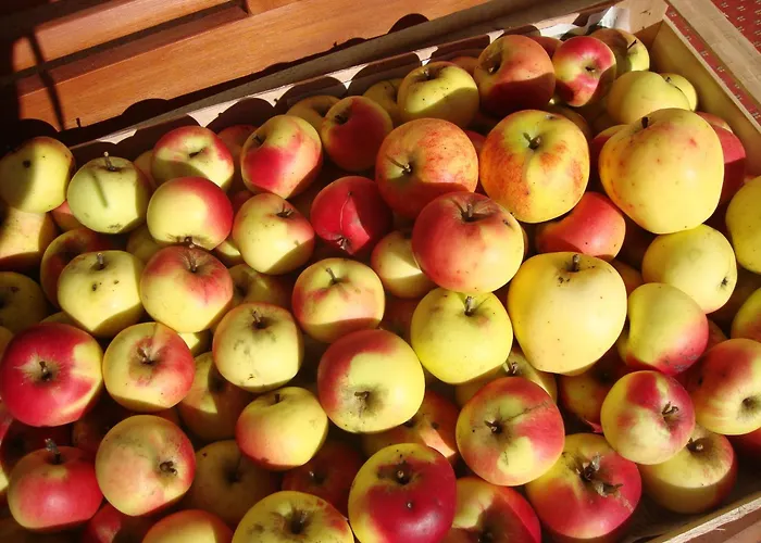 Apartman Schaidreithof Grossarl