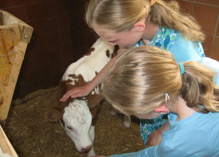 Schaidreithof Grossarl