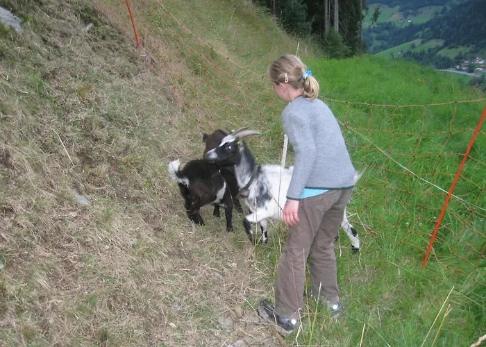 Apartamento Schaidreithof Grossarl