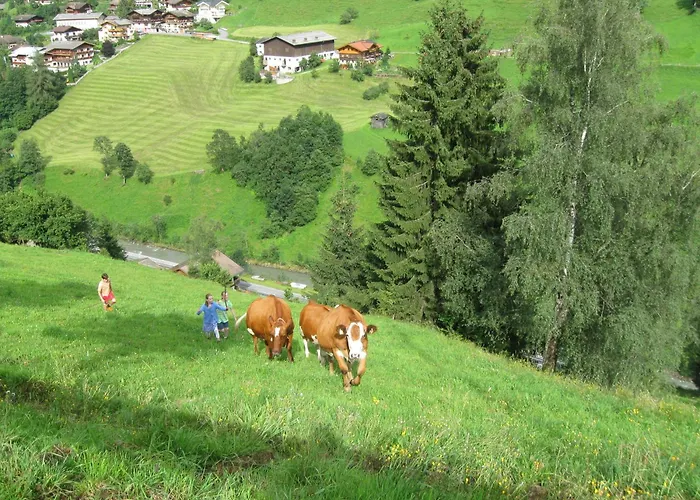 Schaidreithof *