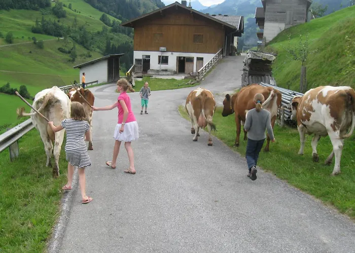 Apartman Schaidreithof *