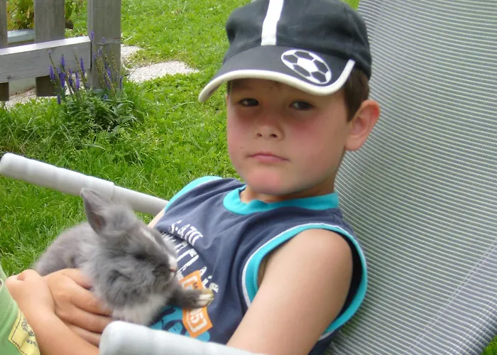 Apartman Schaidreithof