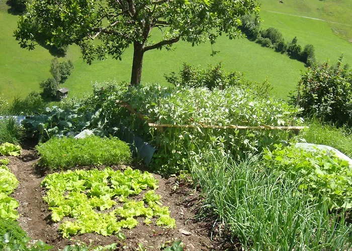 Schaidreithof Apartment *