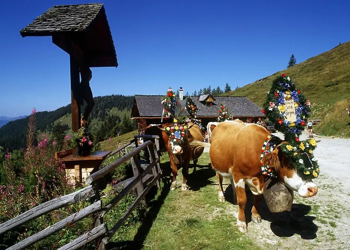 Schaidreithof * Großarl