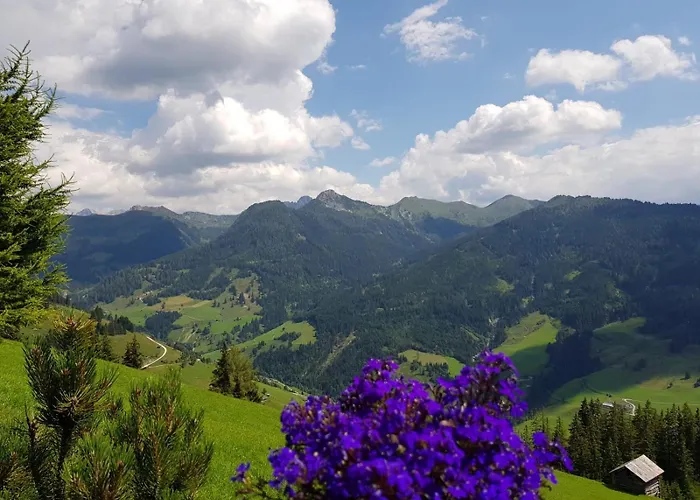 Schaidreithof Apartman Grossarl