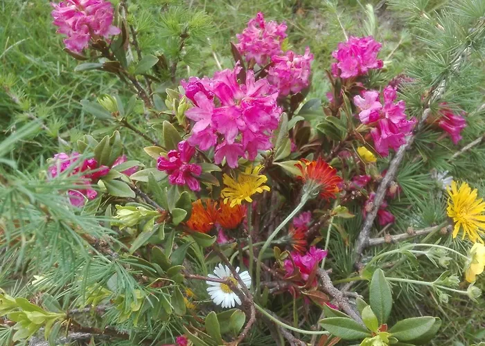 Schaidreithof * Grossarl