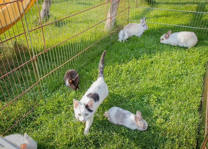 Schaidreithof Apartamento