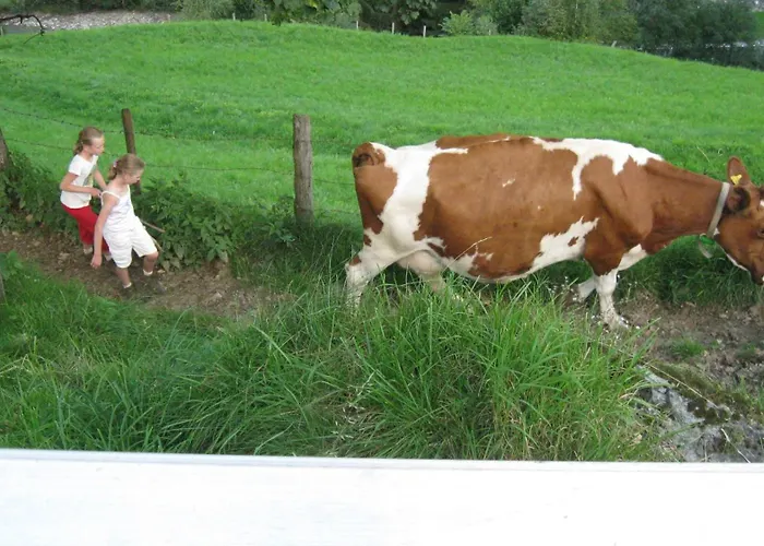 Schaidreithof Apartman *