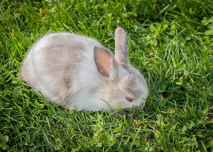 Schaidreithof Apartamento Grossarl