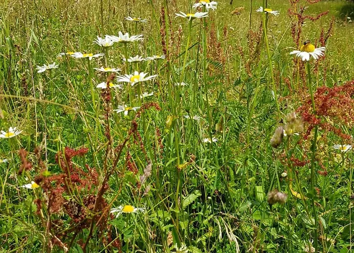 Schaidreithof Grossarl